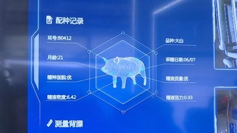 記者帶你逛數博 科技盛宴上演 名企新品爭奇斗艷
